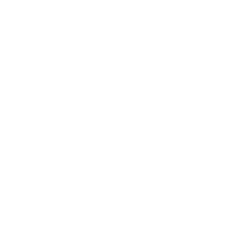 Logo Rodeo
